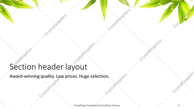 Section Header presentation slide layout