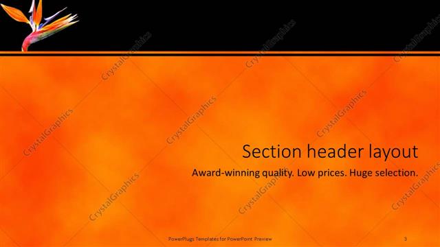 Section Header presentation slide layout
