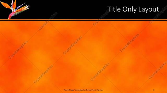 Title Only presentation slide layout