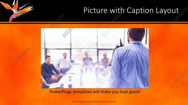 Picture with Caption presentation slide layout