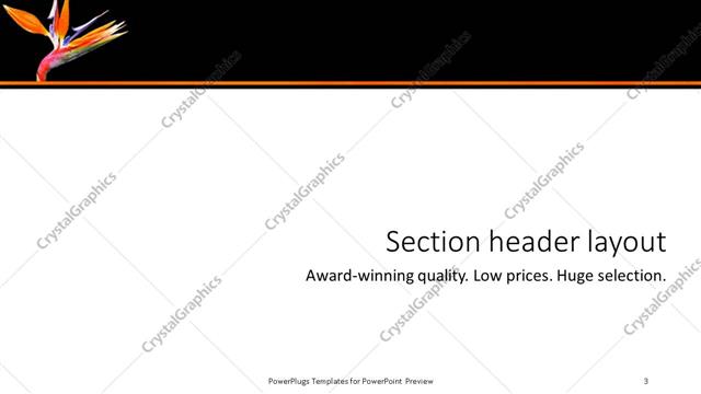 Section Header presentation slide layout