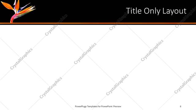 Title Only presentation slide layout