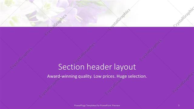 Section Header presentation slide layout