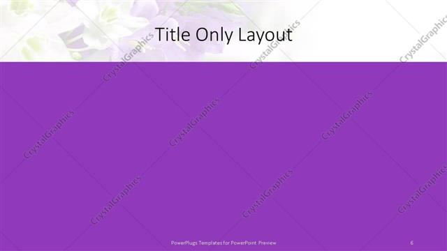 Title Only presentation slide layout