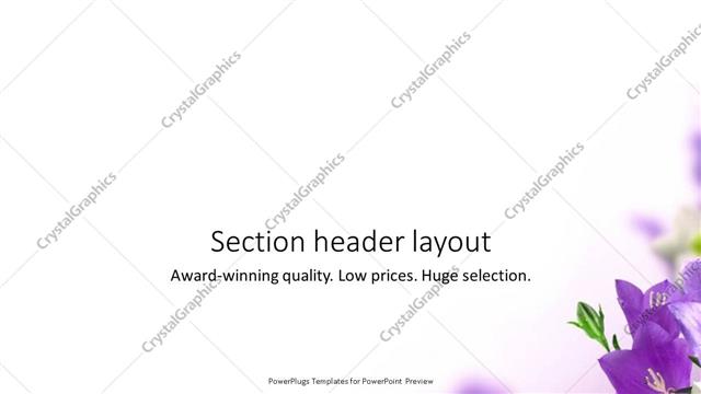 Section Header presentation slide layout