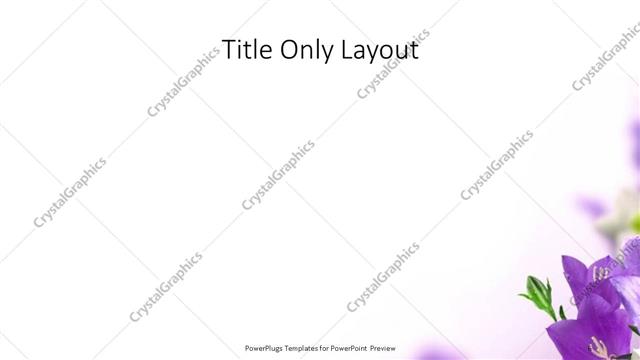 Title Only presentation slide layout