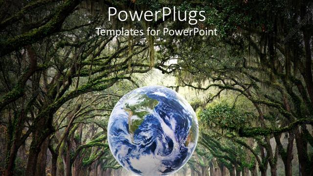  Presentation with forest - Blue earth globe at center of wide path in middle of forest