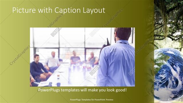 Picture with Caption presentation slide layout