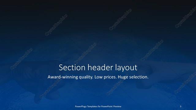 Section Header presentation slide layout