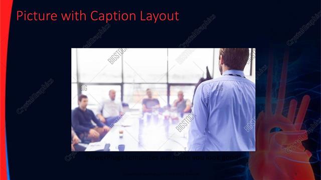 Picture with Caption presentation slide layout