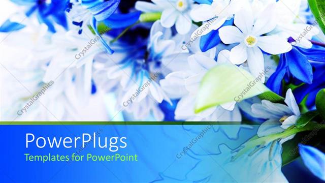  Presentation with spring - Blue white spring bouquet with green leaves, flowers