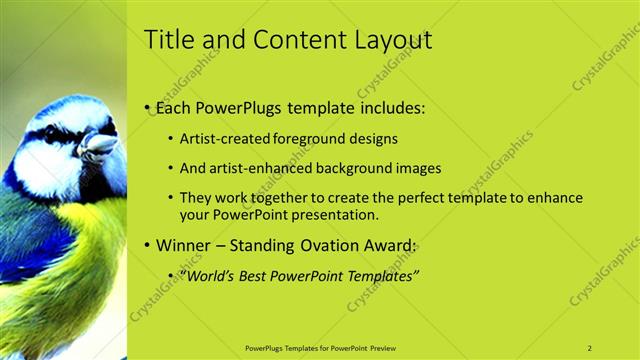 Title and Content presentation slide layout