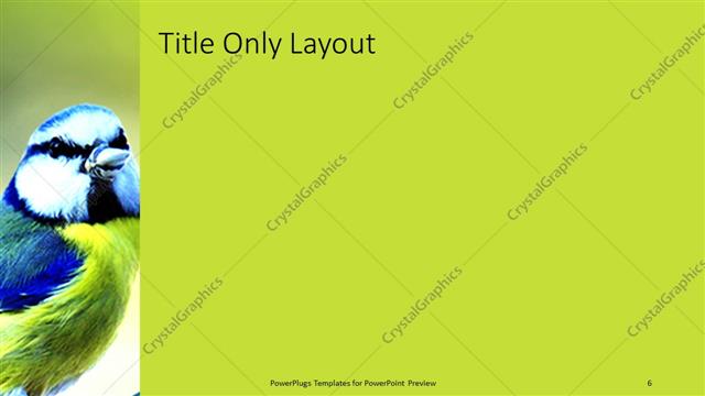 Title Only presentation slide layout