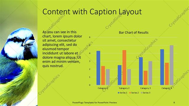 Content with Caption presentation slide layout