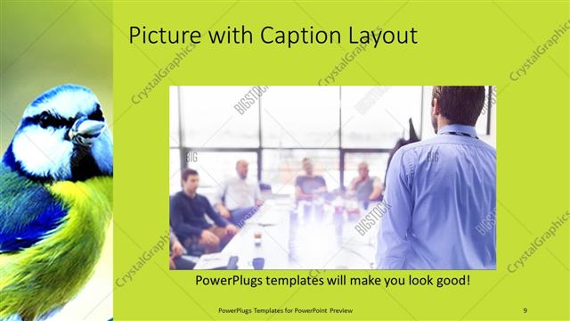 Picture with Caption presentation slide layout