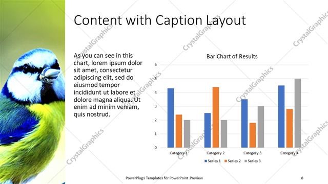 Content with Caption presentation slide layout