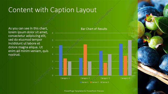 Content with Caption presentation slide layout