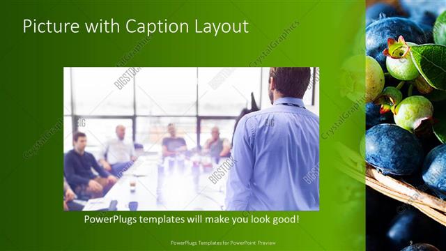 Picture with Caption presentation slide layout