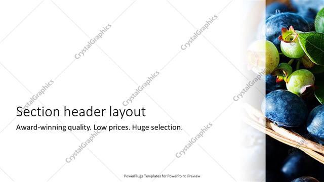 Section Header presentation slide layout
