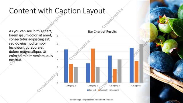 Content with Caption presentation slide layout