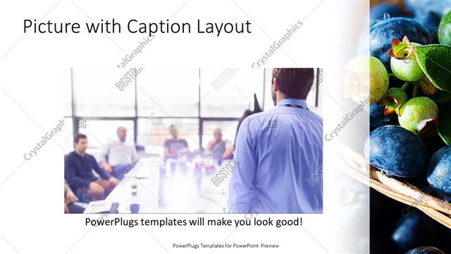 Picture with Caption presentation slide layout