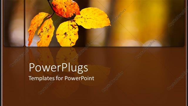  Presentation with autumn - Blurry background with yellow autumn leaves?