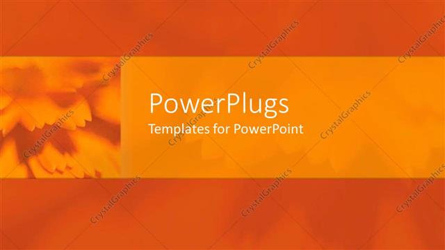  Presentation with dahlia - Blurry orange with flowers between Mandarin dahlia