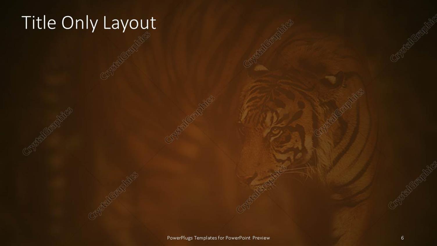 Premium Template for PowerPoint & Google Slides (29571)