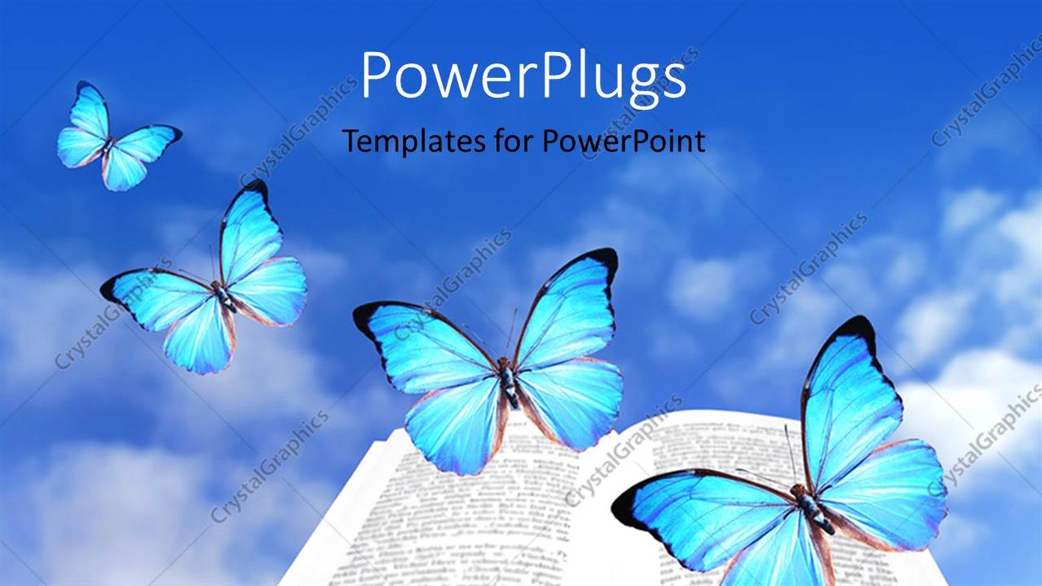 Featuring a Book and a Number of Butterflies