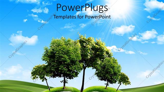  Presentation with magic book - A book is placed on the ground and trees are going in it