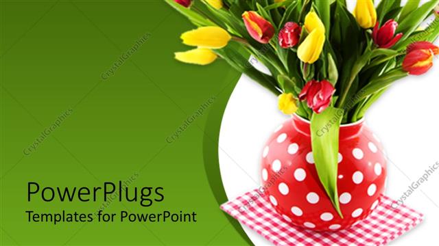  Presentation with tulips - A boque of tulips with greenish background