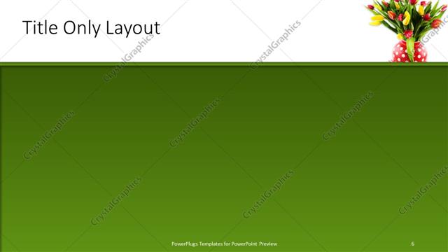 Title Only presentation slide layout