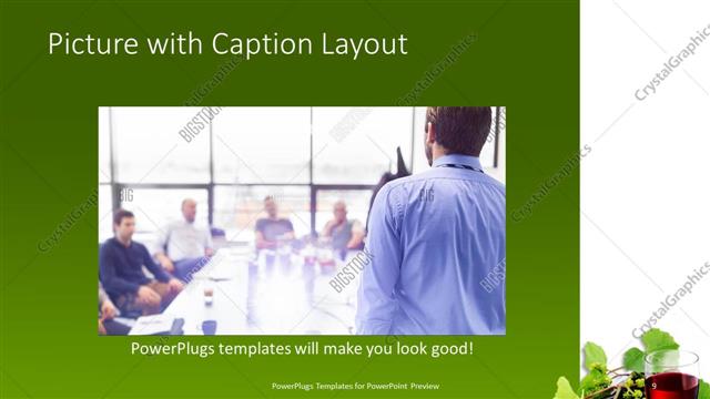 Picture with Caption presentation slide layout