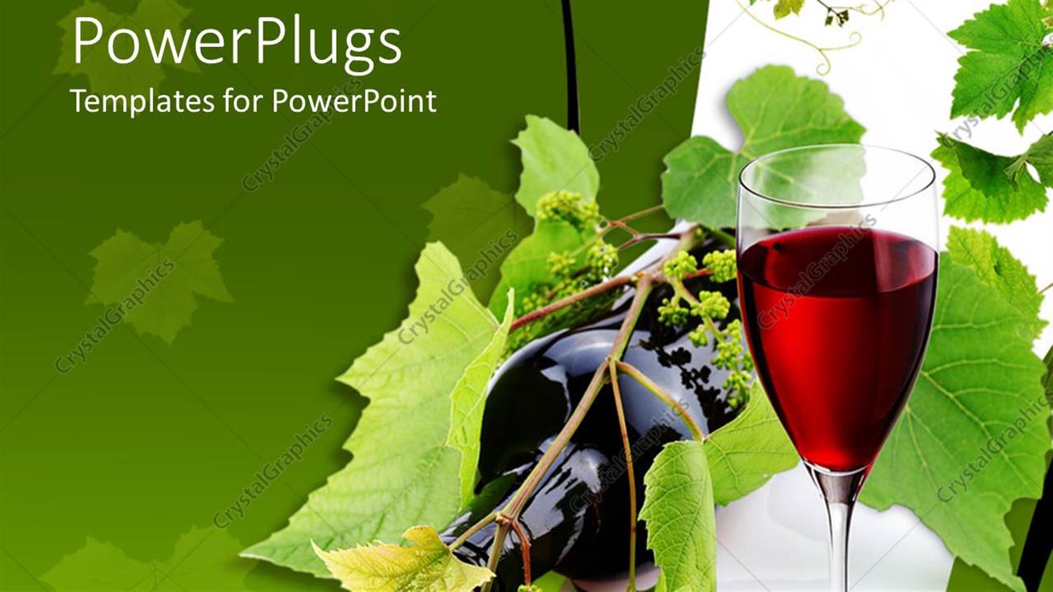 Premium Template for PowerPoint & Google Slides 