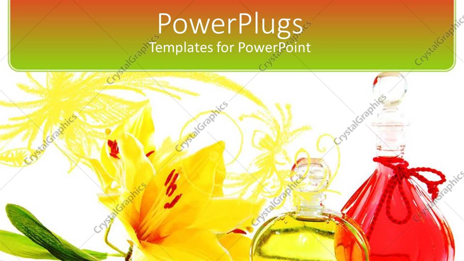 Premium Template for PowerPoint & Google Slides 