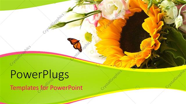  Presentation with butterfly - Butterfly flies towards beautiful flower bouquet in white background