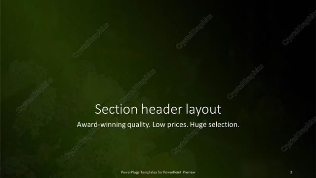 Section Header presentation slide layout
