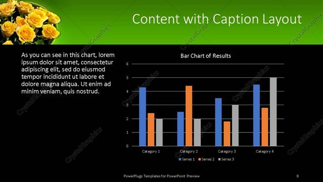 Content with Caption presentation slide layout