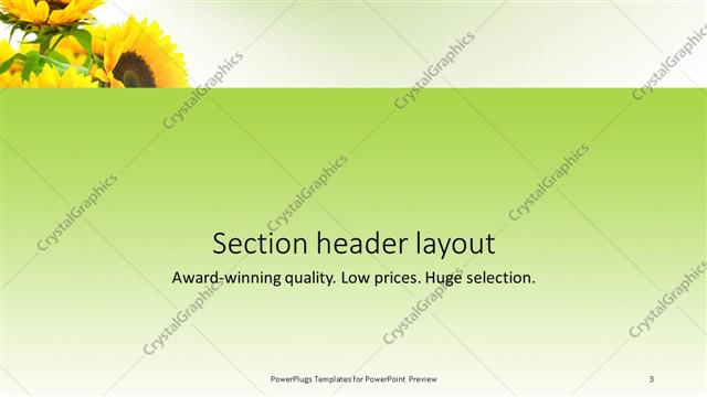 Section Header presentation slide layout