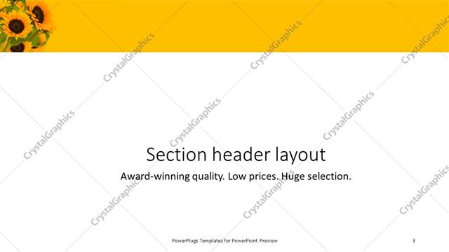 Section Header presentation slide layout