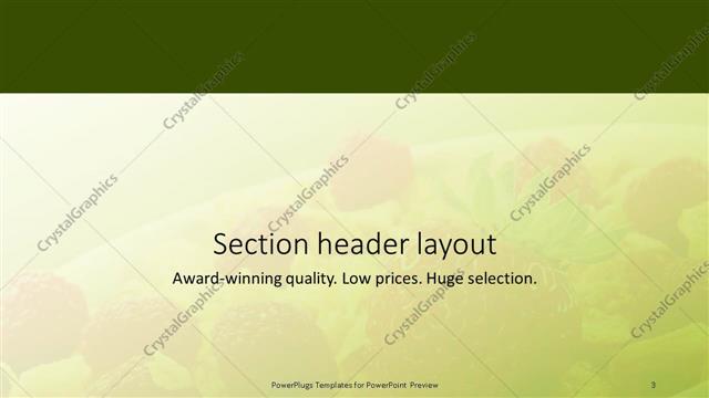 Section Header presentation slide layout
