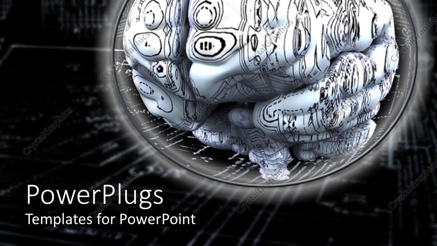 Premium Template for PowerPoint & Google Slides 