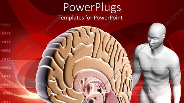  Presentation with human being - The brain of a human being with reddish background