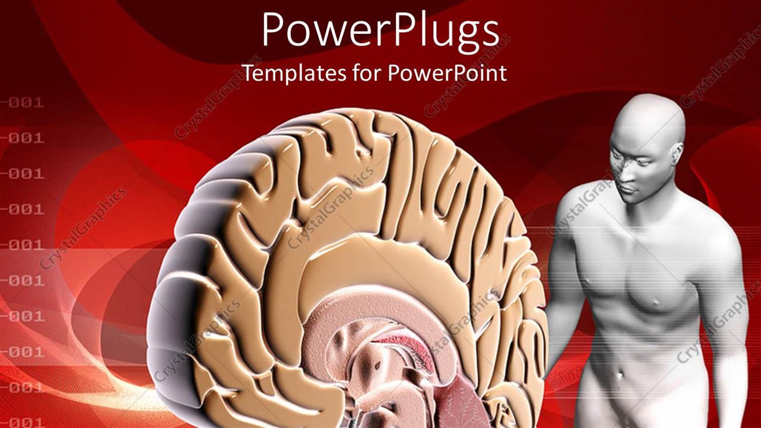 Featuring the Brain of a Human Being with Reddish Background