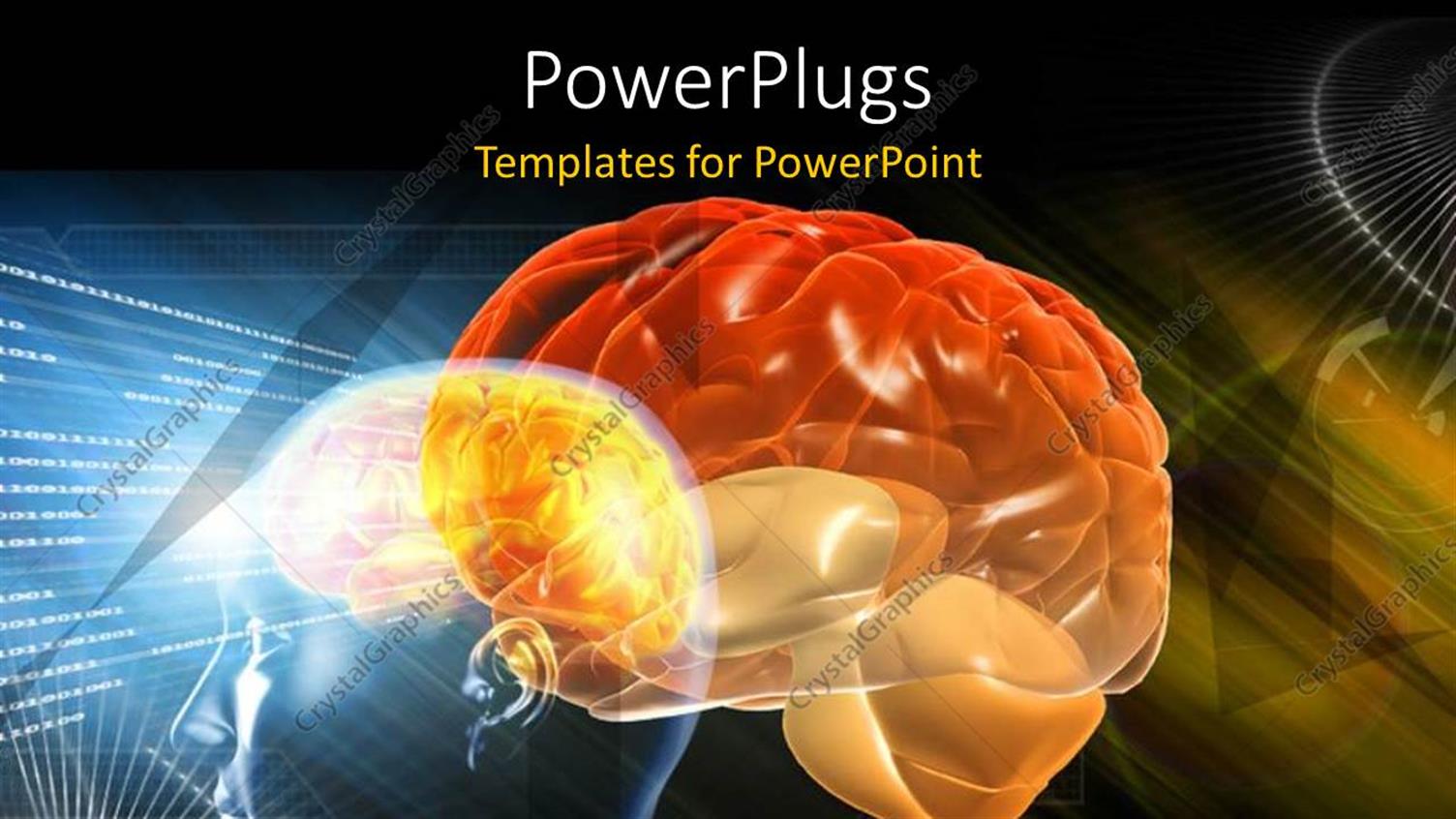 Premium Template for PowerPoint & Google Slides 