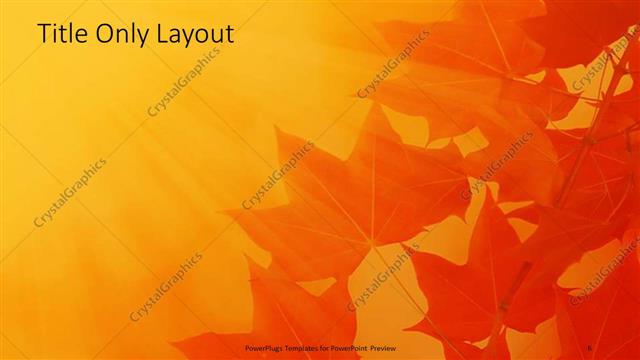 Title Only presentation slide layout