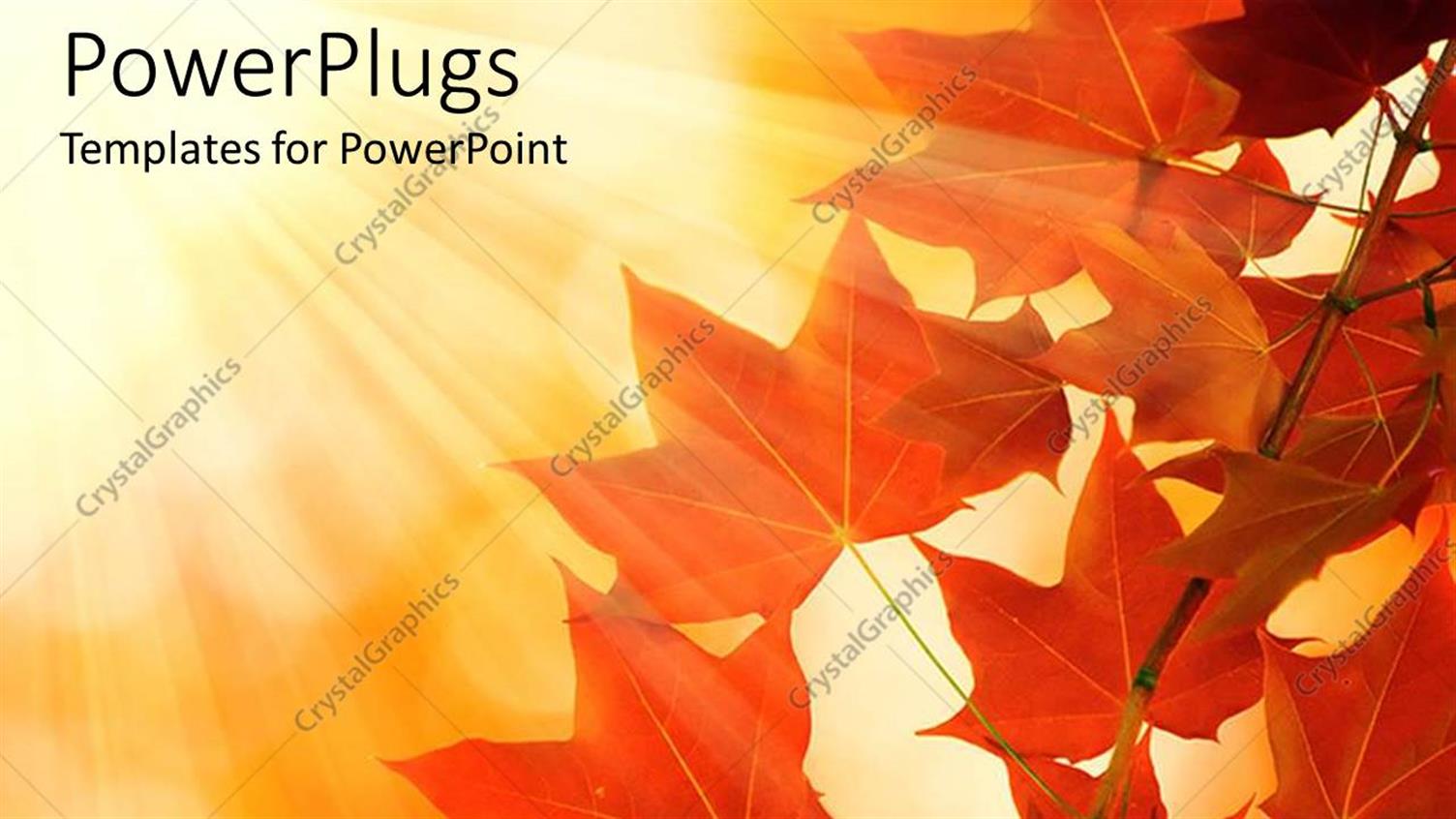 Premium Template for PowerPoint & Google Slides 