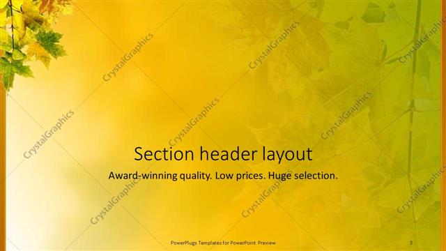 Section Header presentation slide layout