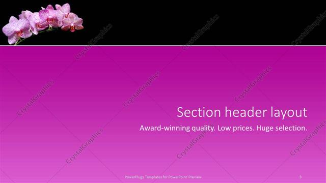 Section Header presentation slide layout