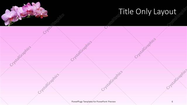 Title Only presentation slide layout